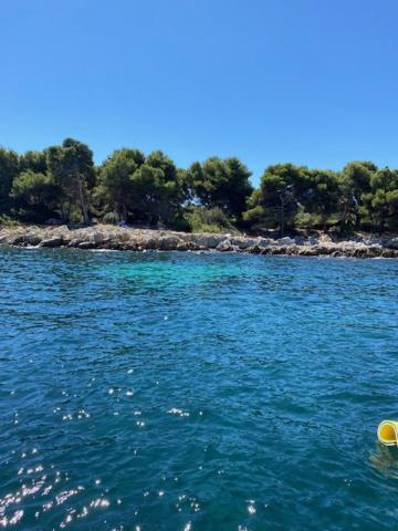 Appartement Luxueux 150M2 - Cannes Exteriör bild