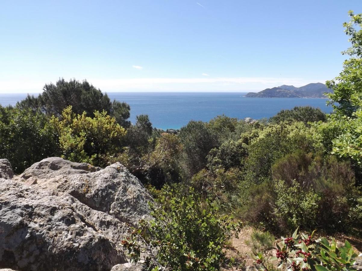 Appartement Luxueux 150M2 - Cannes Exteriör bild